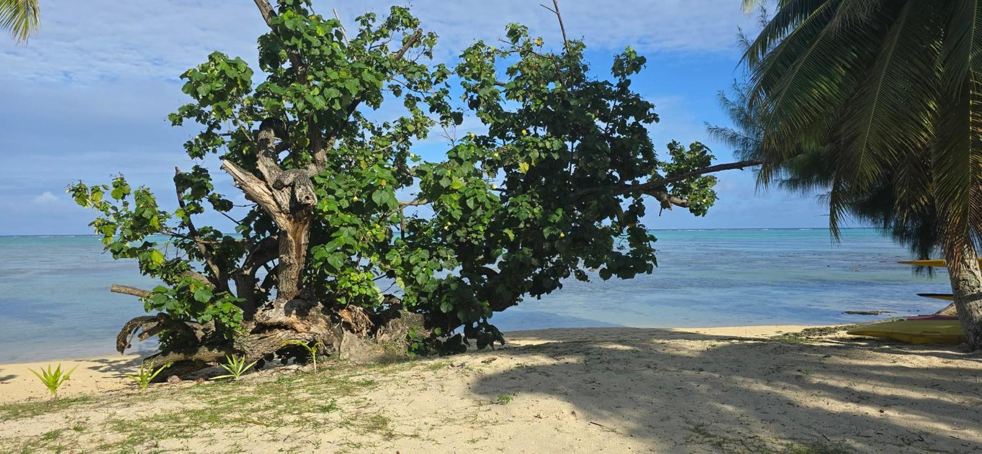 Villa Anahere Haapiti Exterior photo