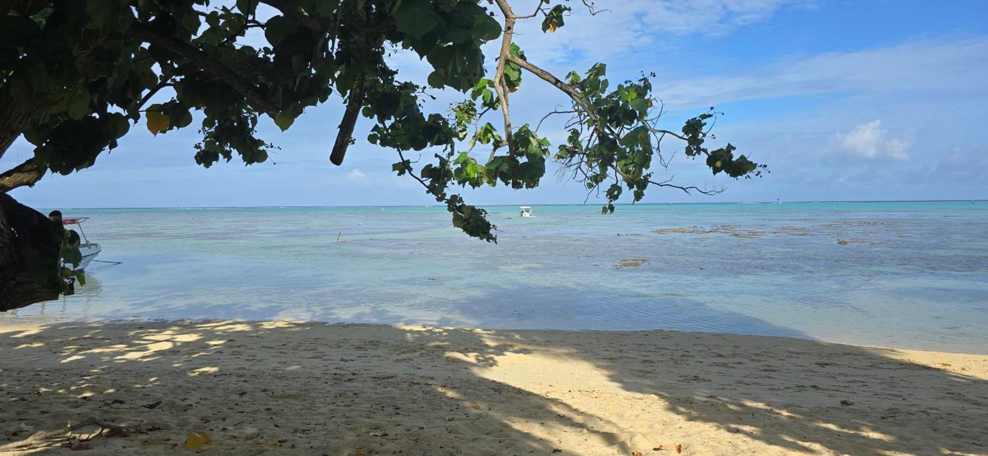 Villa Anahere Haapiti Exterior photo